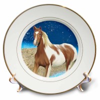 3dRose Paint Horse, Porcelain Plate, 8-inch   